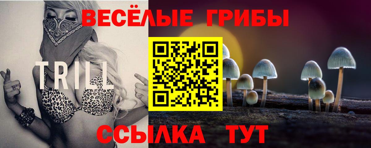 Моршанск  Псилоцибиновые грибы Psilocybine cubensis  Вход с VPN 
